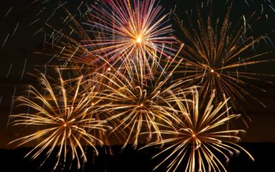 National Apprenticeship Week 2026: Celebrating Skills, Success and Impact
